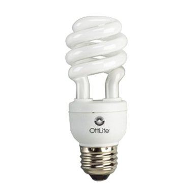 CFL Bulb 15W